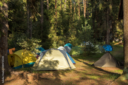 Campground in forest on the lake. Colorful tents in nature. Camping. Close-up. Background. Landscape.