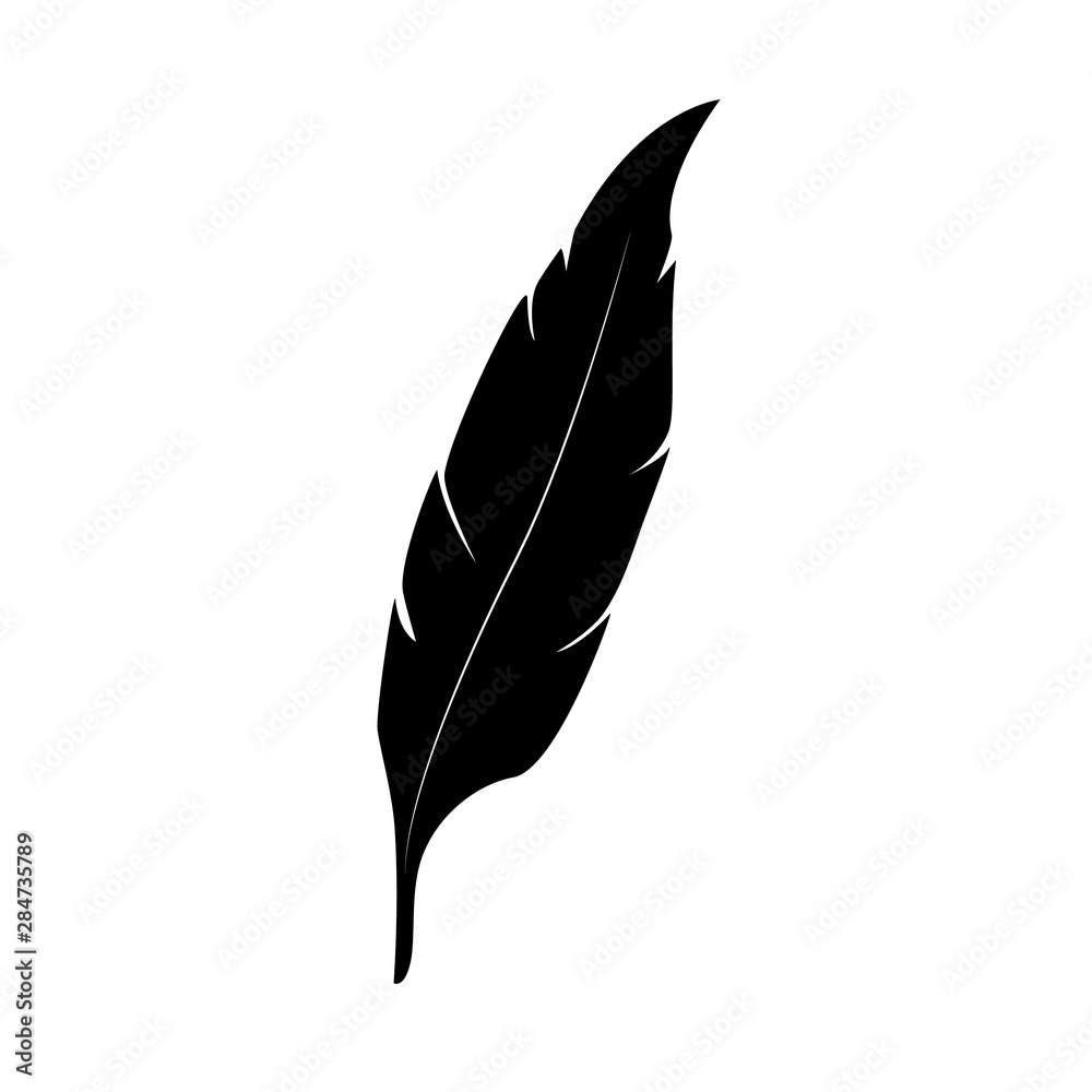 Obraz premium feather isolated on white background