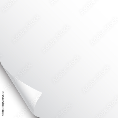 Small curled page corner with shadow on white background. Blank sheet of paper. Vector illustration.