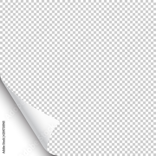 Small curled page corner with shadow on transparent background. Blank sheet of paper. Vector illustration.