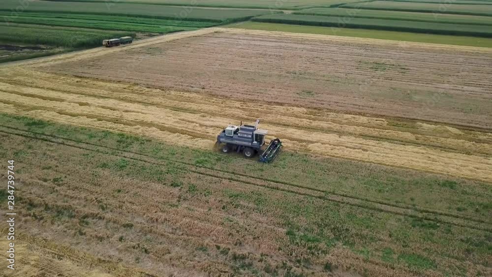 Aerial view of modern combine harvesting wheat on the field Aerial view of modern combine harvesting wheat on the field