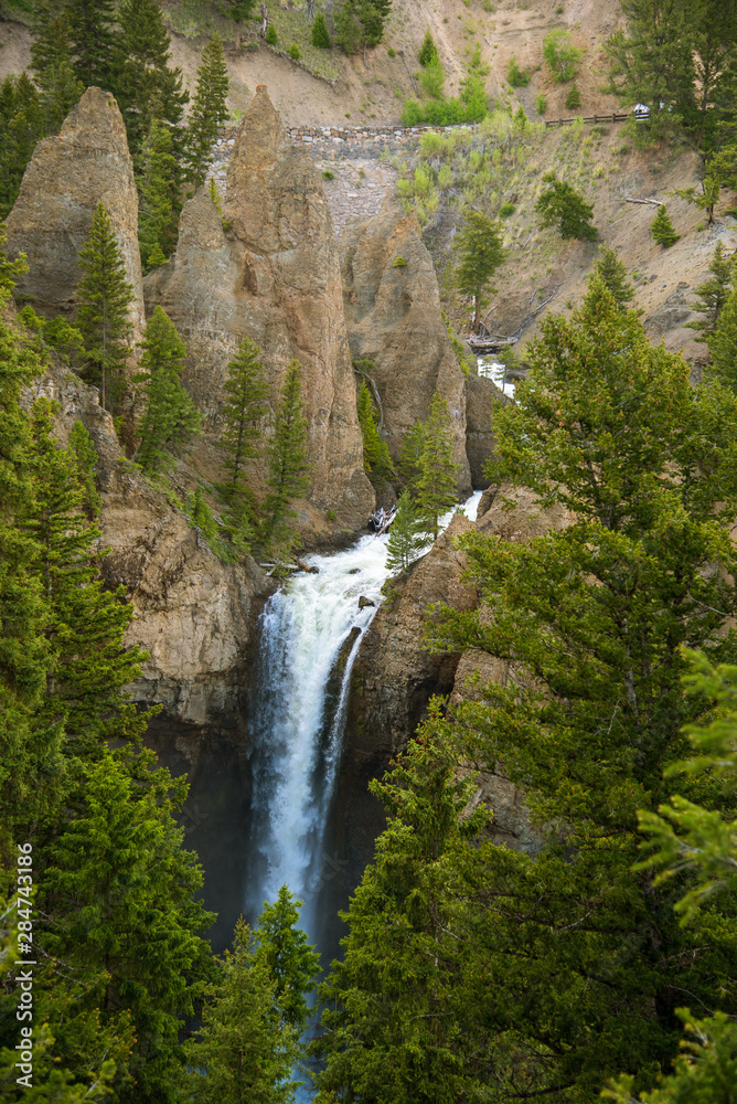 Tower water fall yellowstone national park