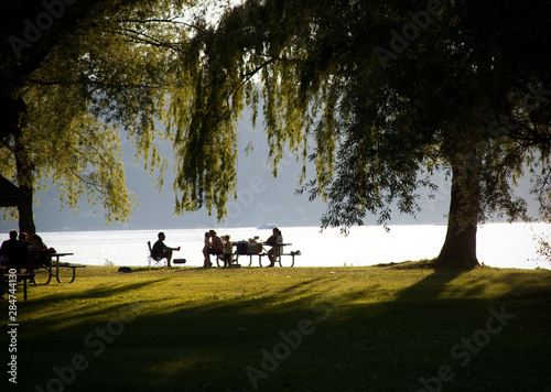 Family Picnic at Stewart Park