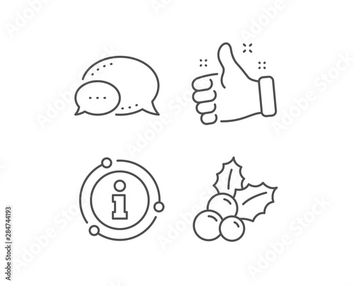 Christmas holly line icon. Chat bubble, info sign elements. Ilex aquifolium sign. Linear christmas holly outline icon. Information bubble. Vector