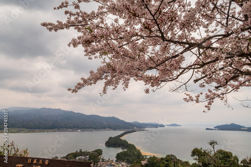 Refreshing spring in Kyoto,Japan photo