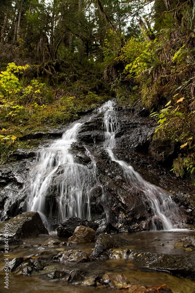 Obraz premium waterfall in forest