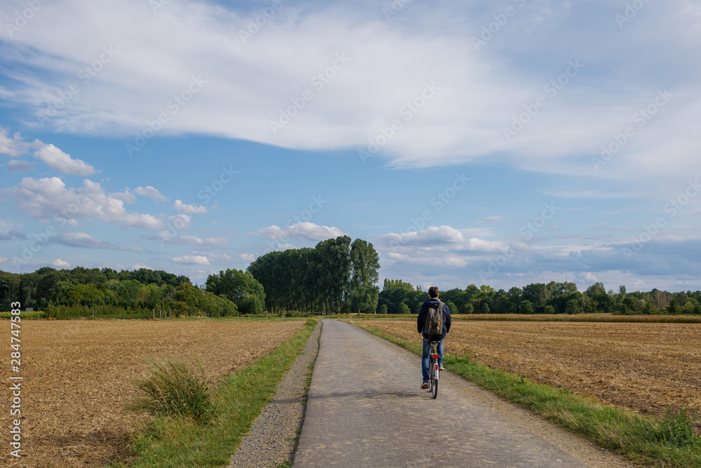 Outdoor sunny view of cyclist ride a bicycle on small road in suburb area surrounded with agricultural field with golden wheat, barley and oat field in summer season against blue sky in Germany.