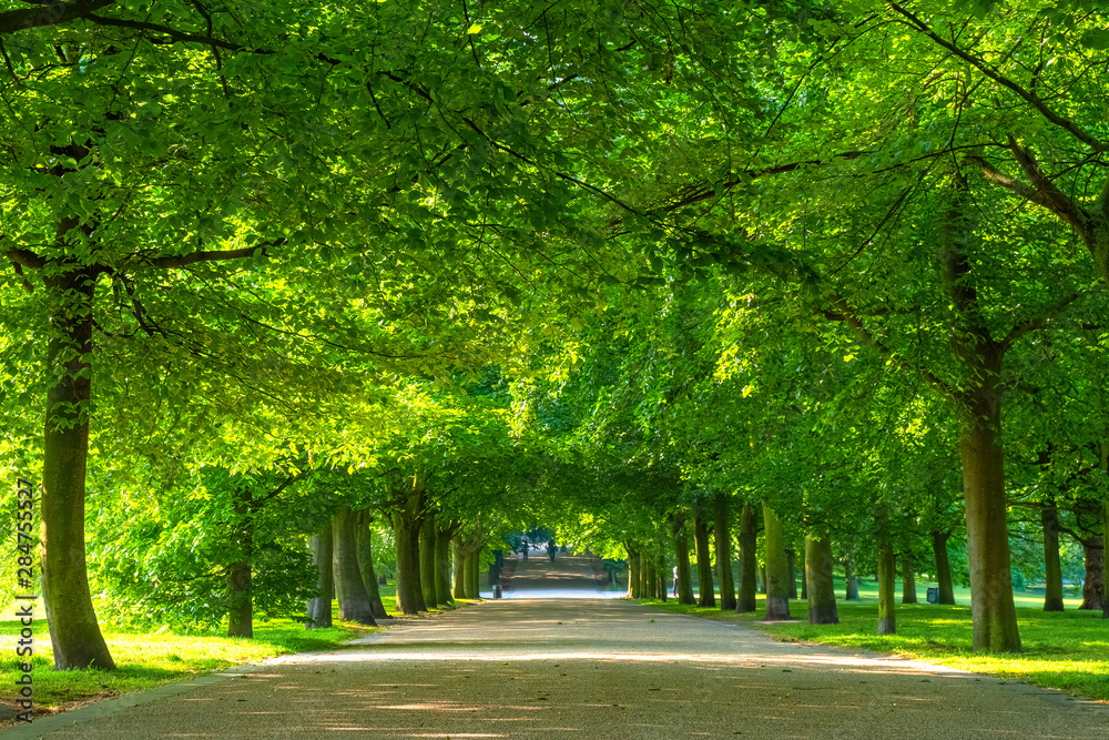 Greenwich Park in London, UK