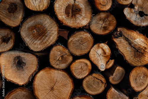 Firewood Log texture
