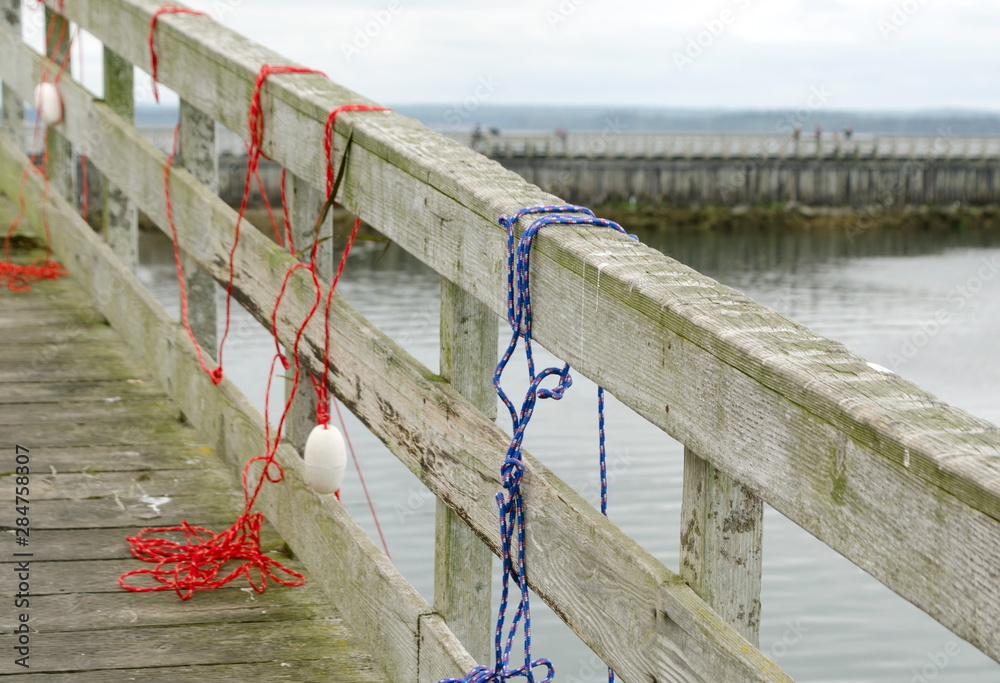 Fototapeta premium Red and blue ropes holding crab traps on a pier in Westhaven Cove