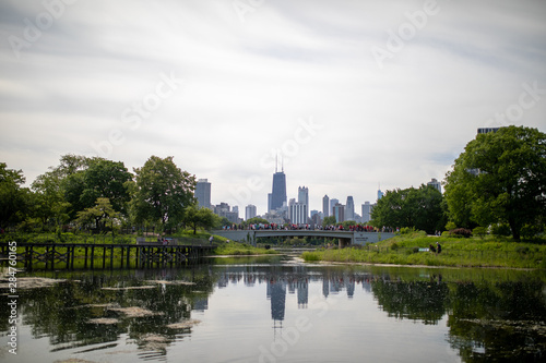 Chicago Skyline © Allison