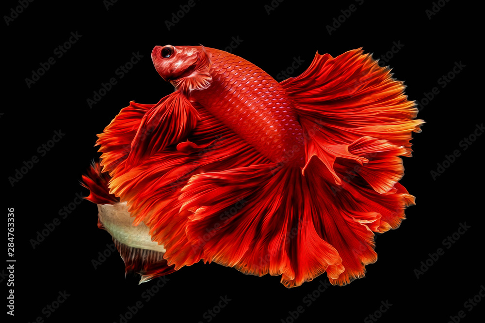 oil paint the motion of siames figthing fish..betta splenden fish. oil paint the motion of siames figthing fish..betta splenden fish.