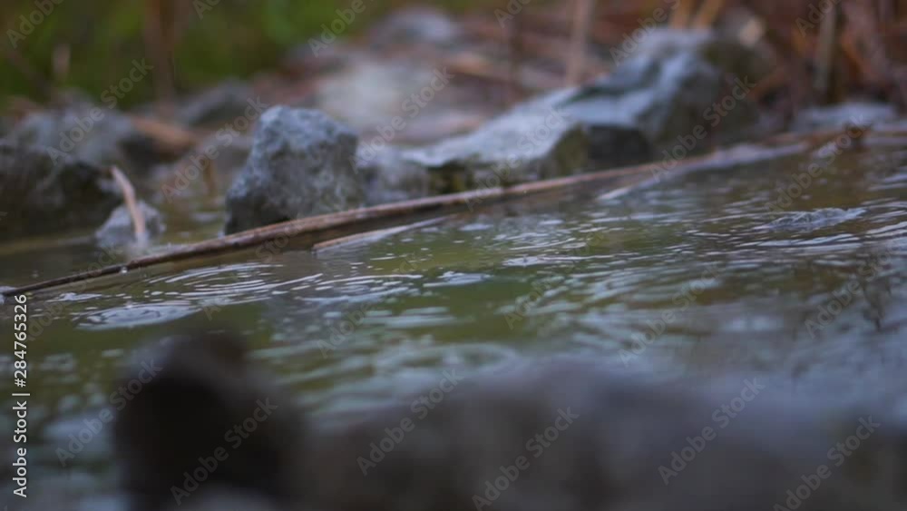 Puddle with sticks and rocks, rain drops falling in slow motion
