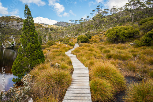 Canvas Print Nature landscape in Cradle mountain national park in Tasmania, Australia