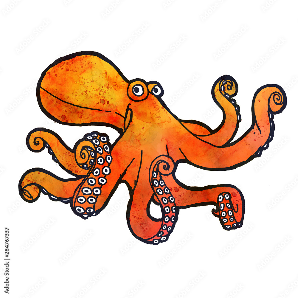 Obraz premium octopus