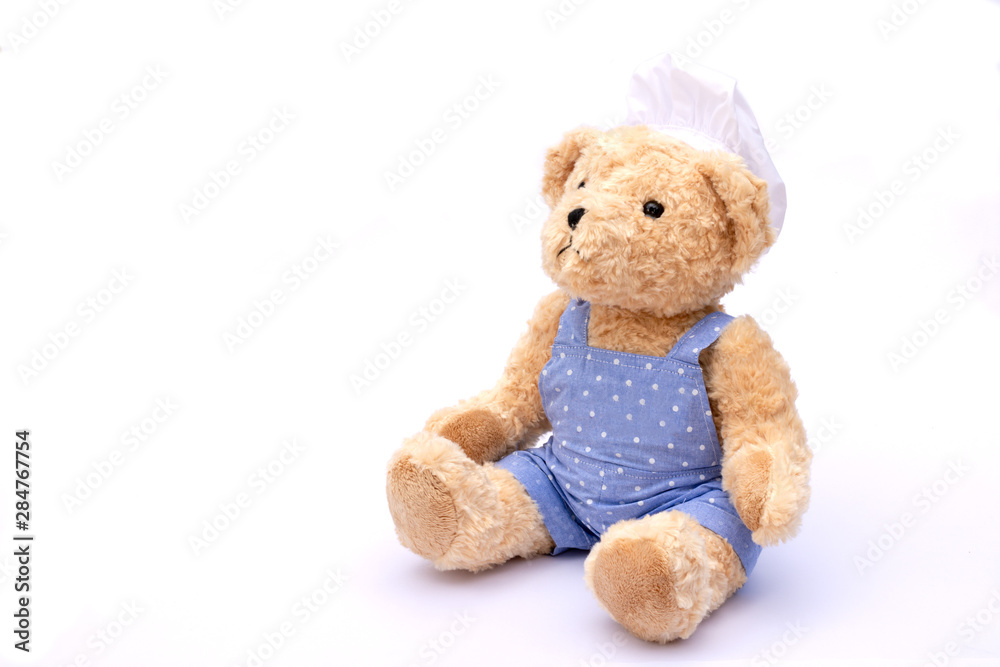 Fototapeta premium Brown teddy bear isolated on white background. 
