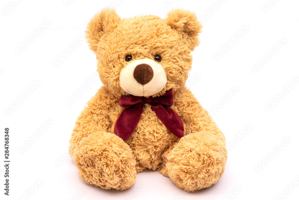 Obraz premium Brown teddy bear isolated on white background. 
