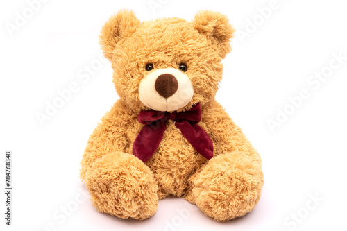 Brown teddy bear isolated on white background. 