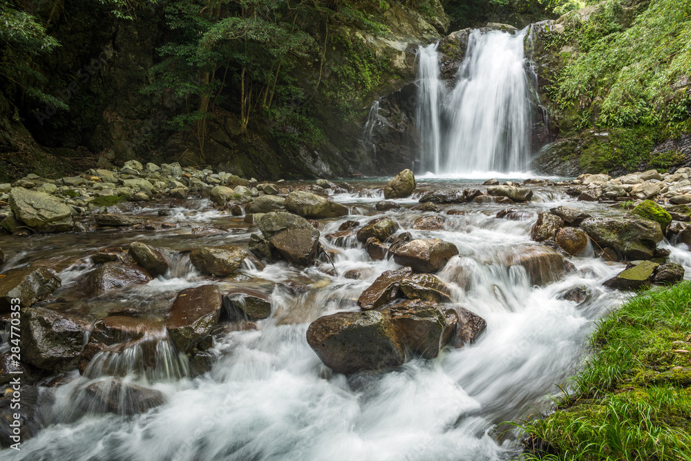 Fototapeta premium 中園川の流れと坂口の滝
