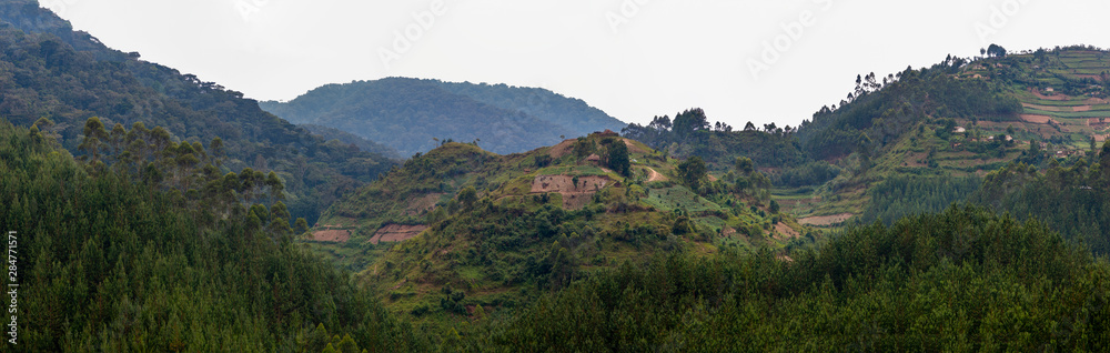 Bwindi Impenetrable Forest National Park, Uganda