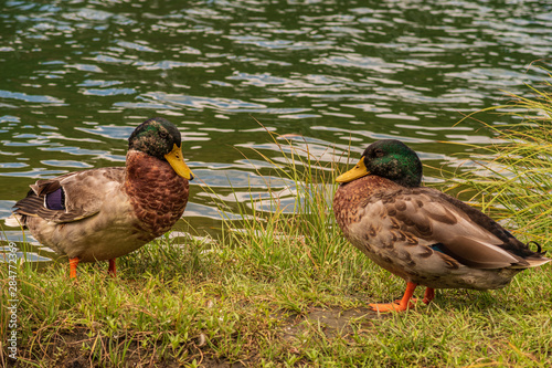  Refreshing Mie Prefecture, Japan