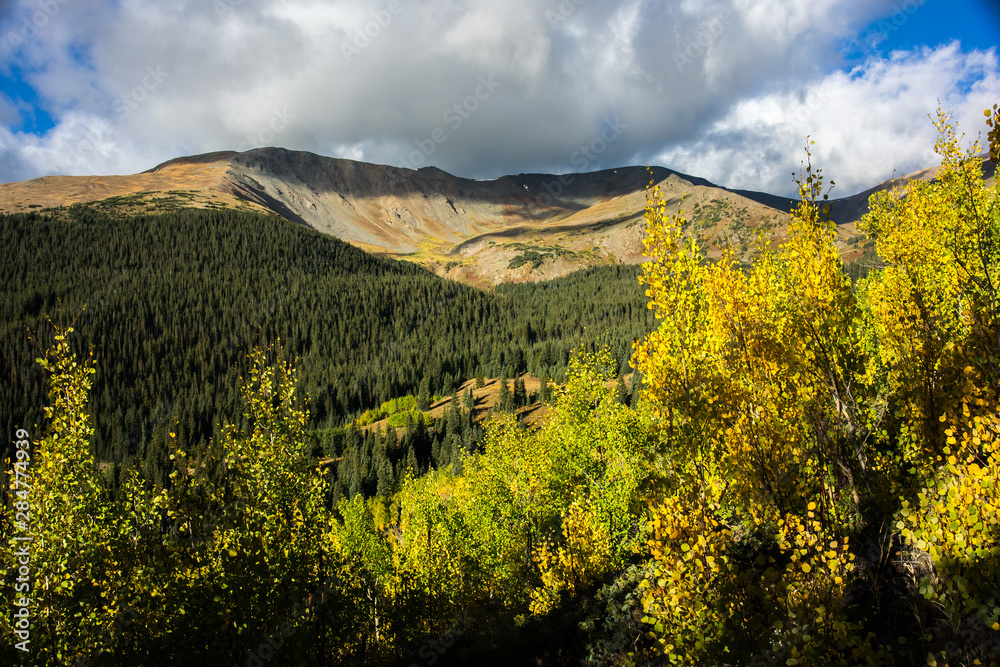 Colorado Mountain Bowl Rises Behind Aspen Trees