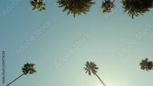 Driving Under Beverly Hills Palm Trees With Sun Beam, California sunny sky. Vintage colors