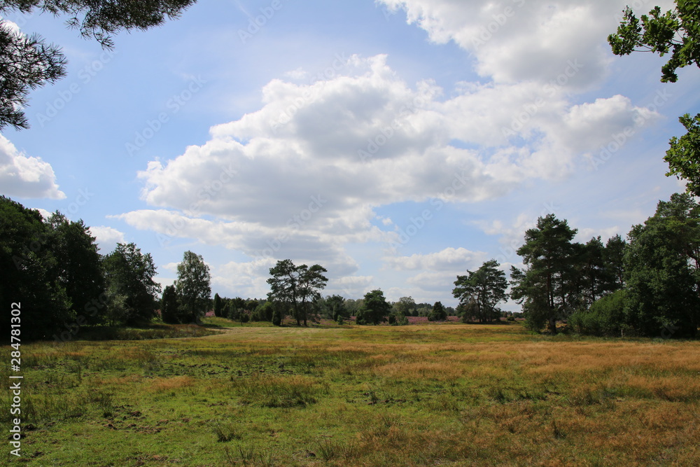 Blühende Heidelandschaft unter tollen Wolken