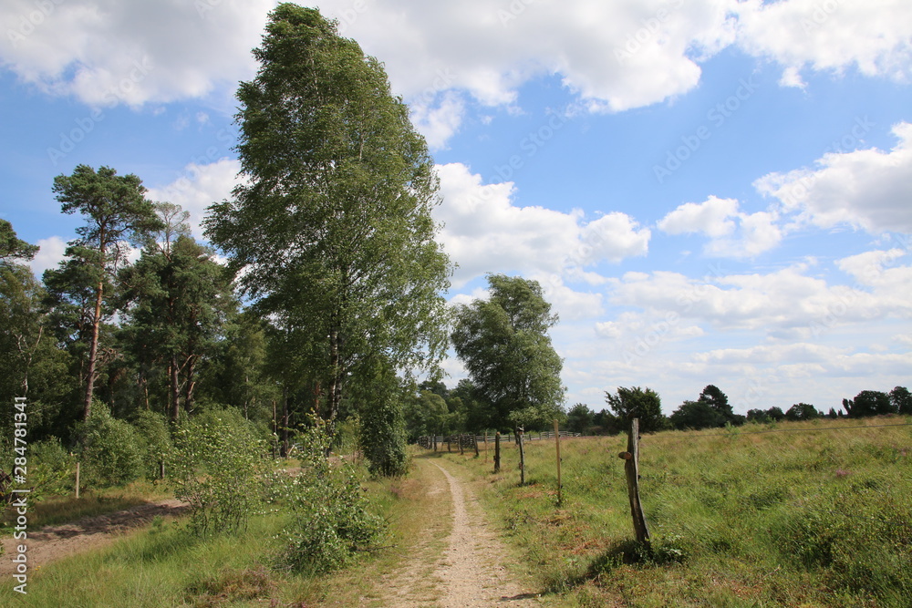 Schöne Wander- und Reitwege in der Lüneburger Heide