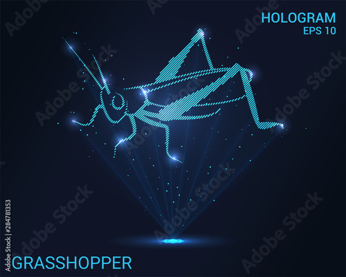 Hologram grasshopper. Holographic projection of grasshopper. Flickering energy flux of particles.