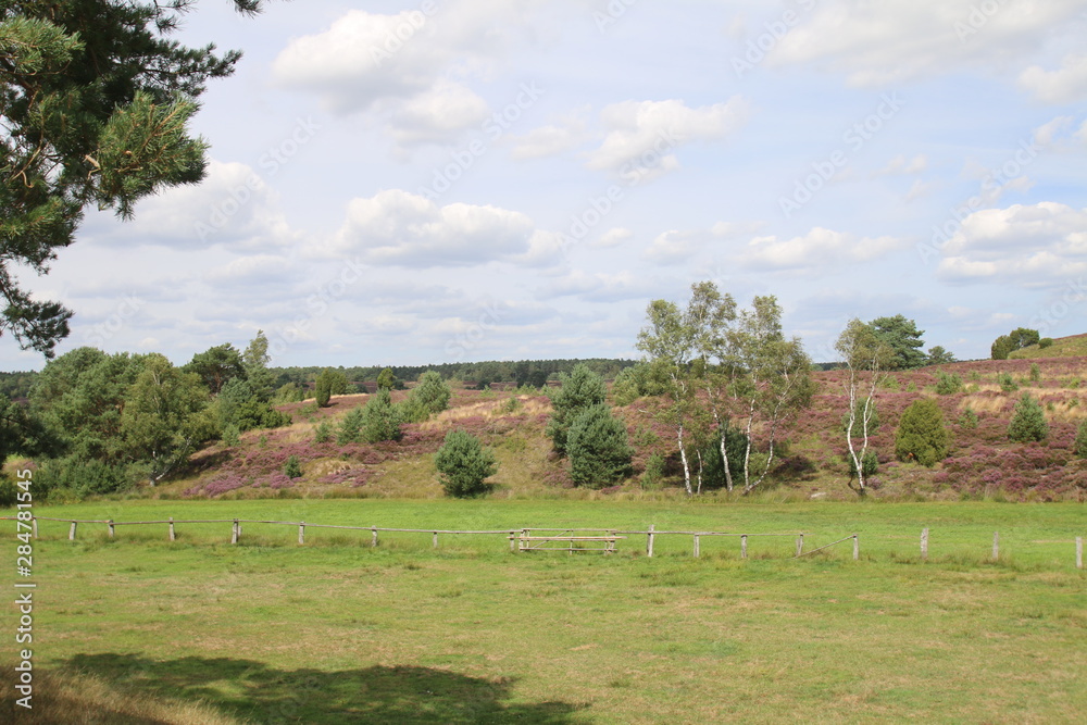 Blühende Heidelandschaft unter tollen Wolken Blühende Heidelandschaft unter tollen Wolken