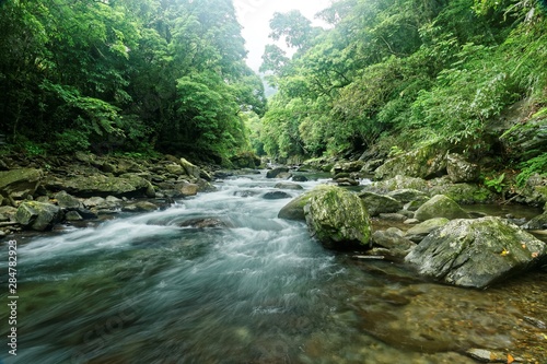Scenic view of a cool refreshing stream cascading in a mysterious ravine of lush forest with sunlight shining through lavish greenery in summer ~ Beautiful river scenery of Taiwan