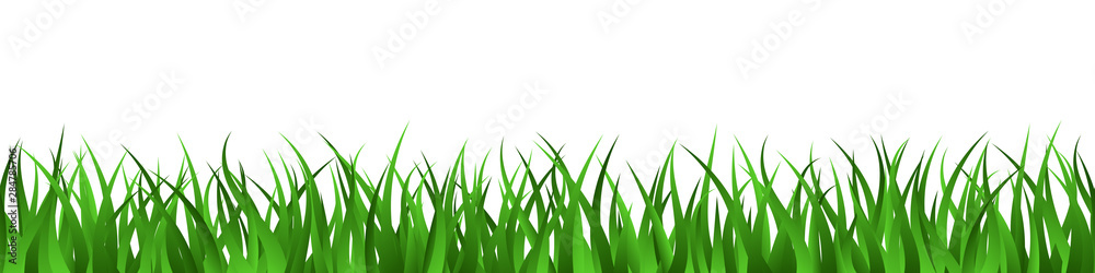 Green grass lawn seamless border summer background