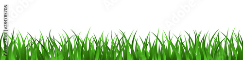 Green grass lawn seamless border summer background
