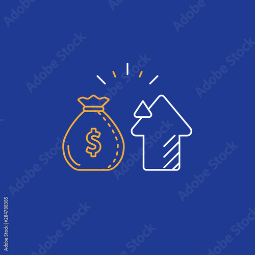 Investing money, return on investment, profit increase line icon