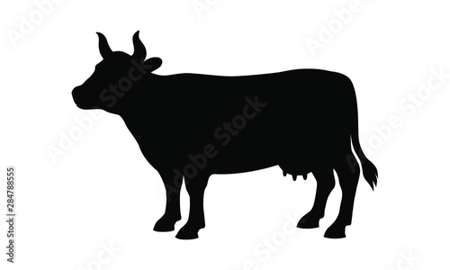   ow graphic icon. Cow black sign isolated on white background. Cattle symbol. Vector illustration