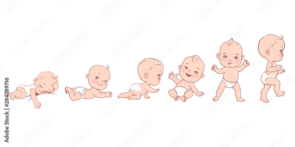 Baby development. Baby growth from newborn to toddler scale. Stock ...