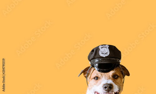 Funny dog wearing police officer peaked cap as working dog concept