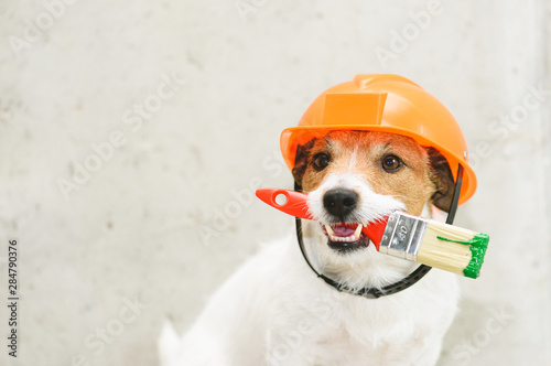 Dog as funny house painter with paintbrush against concrete wall photo
