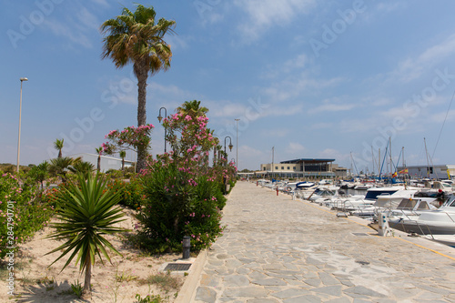 Tableau sur toile Guardamar del Segura Marina de las Dunas with palm trees Costa Blanca Spain