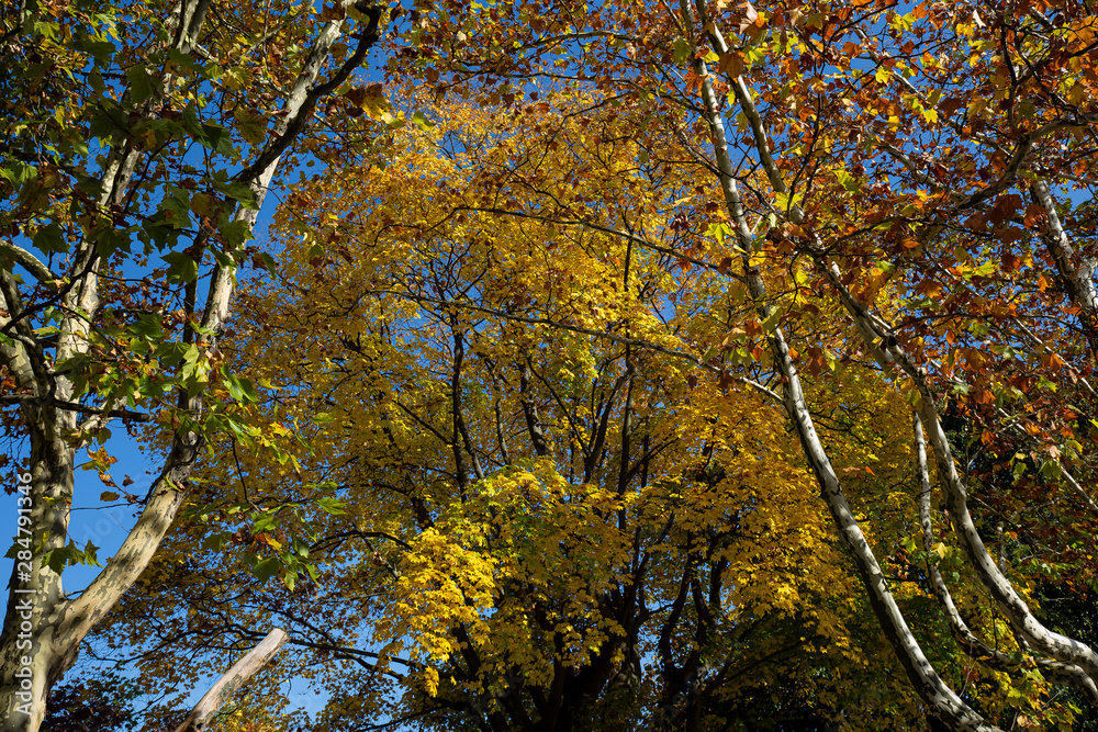 Herbst Herbst