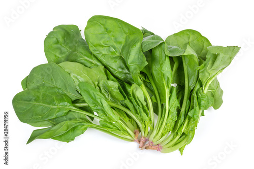 Stems with leaves of fresh spinach on a white background