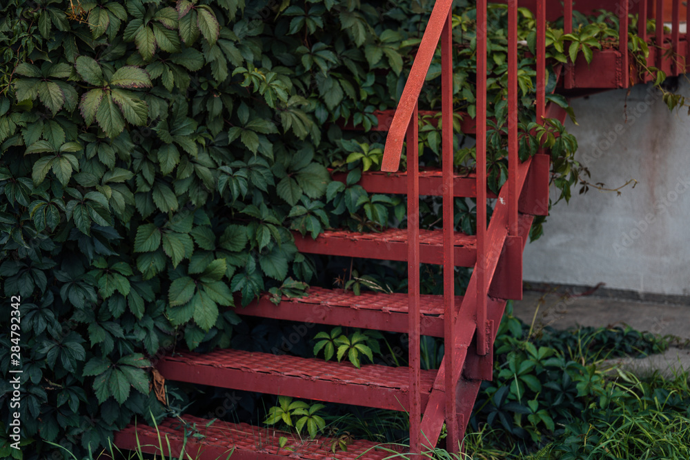 Red metal staircase among lush green foliage Red metal staircase among lush green foliage