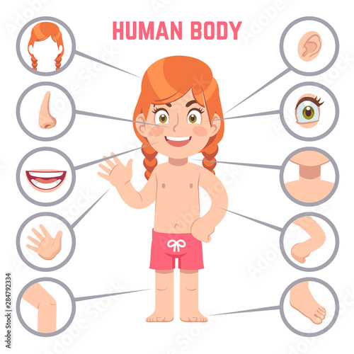 Girl body parts. Human child with eye, nose and chest, head. Knee, legs and arms, ear cartoon preschool education vector illustration