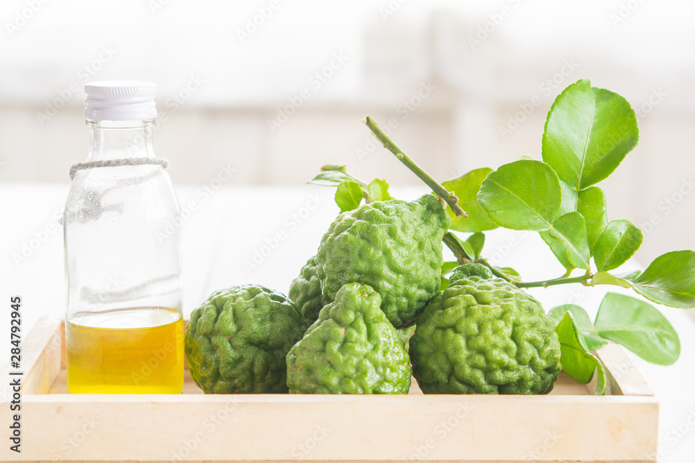 Fototapeta premium Bergamot and green leafs