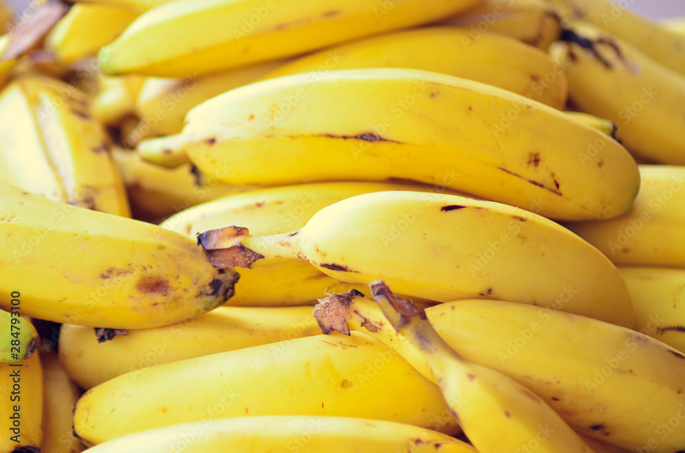 Raw Organic Bunch of Bananas Ready to Eat Raw Organic Bunch of Bananas Ready to Eat