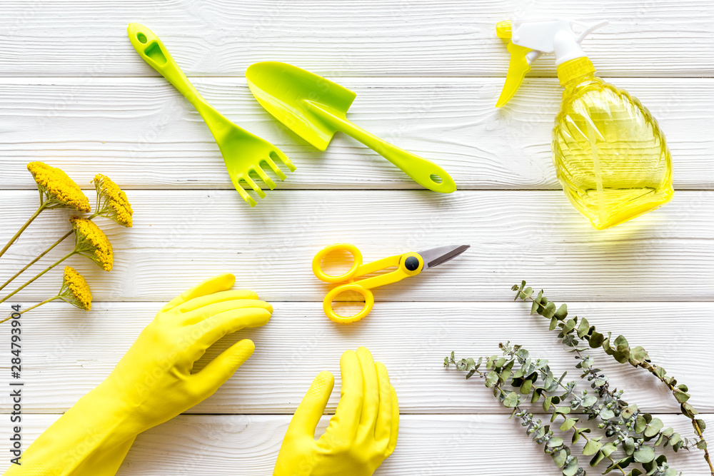 Instruments for gardener on white wooden background top view pattern