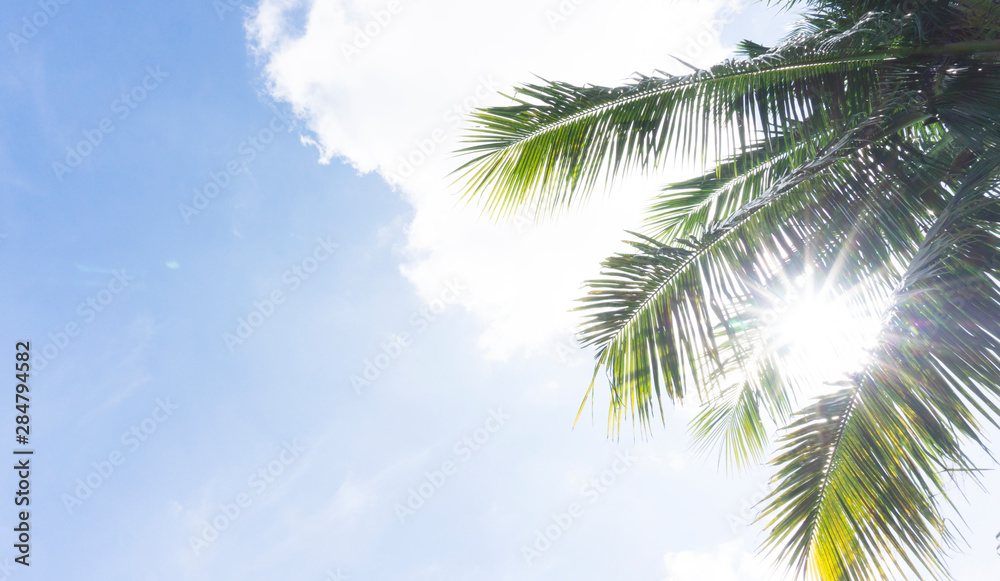 Summer time Coconut tree on blue sky Clouds on background, with copy space for your text. Summer time Coconut tree on blue sky Clouds on background, with copy space for your text.