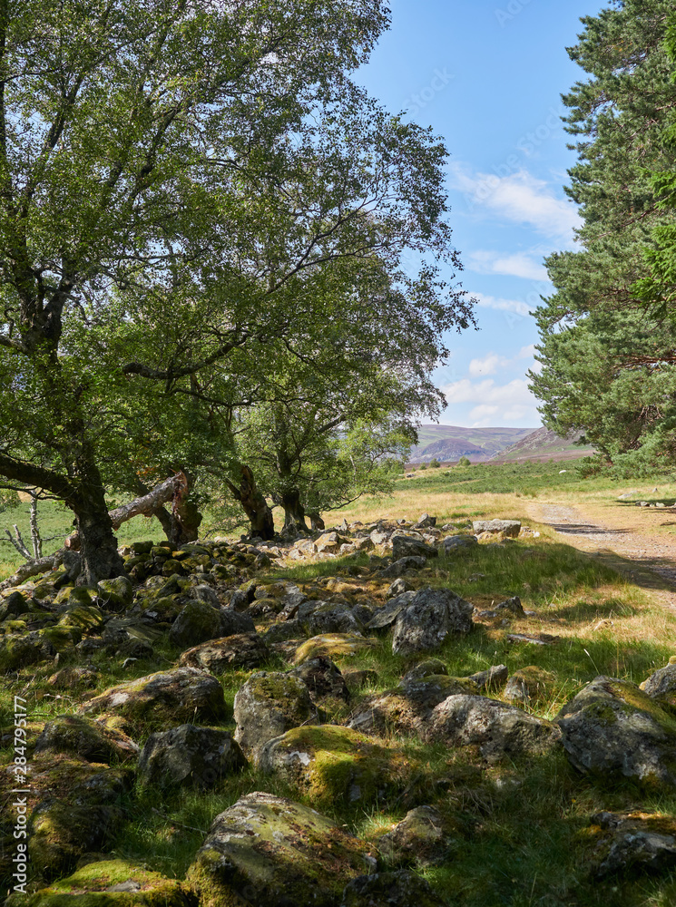 Looking up the Footpath to Mt Keen in the Angus Glens at Glen Mark on a hot Summers Day in Angus, Scotland. Looking up the Footpath to Mt Keen in the Angus Glens at Glen Mark on a hot Summers Day in Angus, Scotland.
