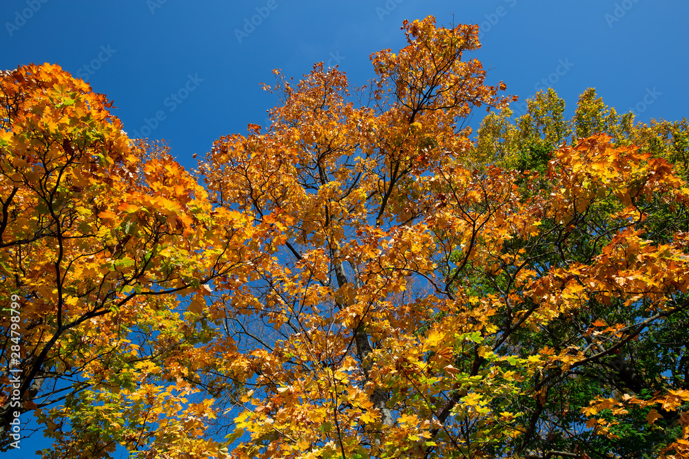 Herbst Herbst
